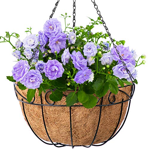 4 Pack Hanging Plant Baskets with Coco Coir Liner 14 Inch Round for Outdoor Flower Pots Planter Holder Wire Metal with Chain Porch Decor Hanger Garden Decoration Indoor Outdoor Large Baskets Black